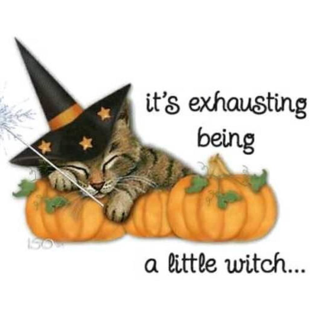 Meet your Posher, Theresa